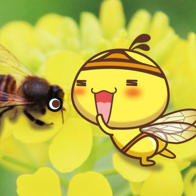 怎样查看whatsapp网页版二维码 whatsapp入口 怎样查看whatsapp网页版二维码 whatsapp入口